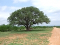 02 Ranch Road - Copy