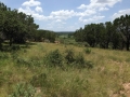 Potential House Site