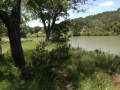 Up River